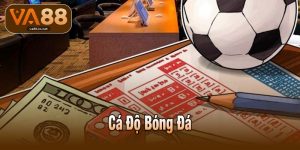 Cá Độ Bóng Đá