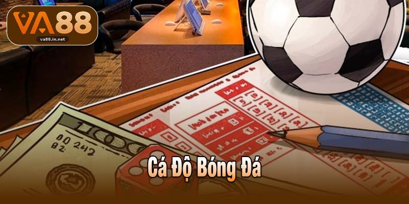 Cá Độ Bóng Đá