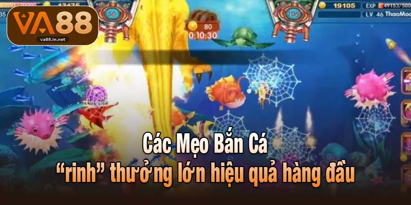 Các Mẹo Bắn Cá “rinh” thưởng lớn hiệu quả hàng đầu